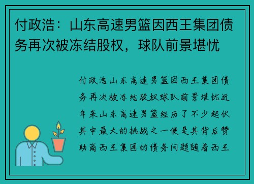 付政浩：山东高速男篮因西王集团债务再次被冻结股权，球队前景堪忧