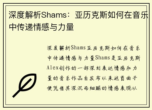 深度解析Shams：亚历克斯如何在音乐中传递情感与力量