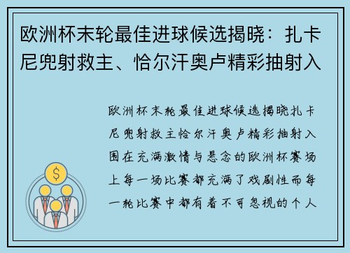 欧洲杯末轮最佳进球候选揭晓：扎卡尼兜射救主、恰尔汗奥卢精彩抽射入围